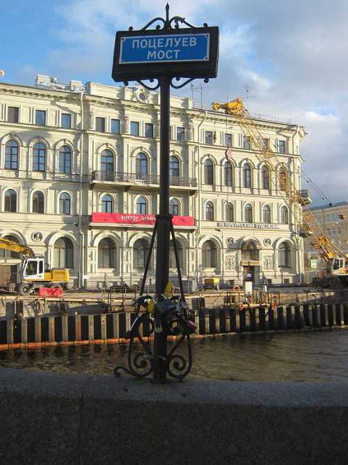 из мчащегося по мосту фургона выбросили кота, подросток немедленно бросился на помощь животному