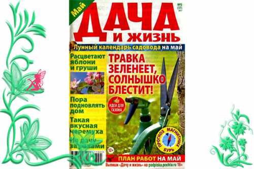 жизнь на шри